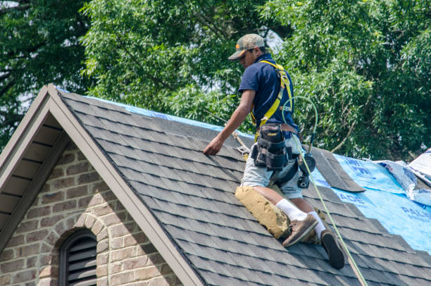 Best Storm Damage Roof Repair  in USA